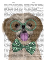 Shih Tsu with Glasses and Bow Tie