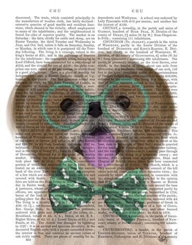 Shih Tsu with Glasses and Bow Tie
