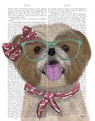 Shih Tsu with Glasses and Scarf