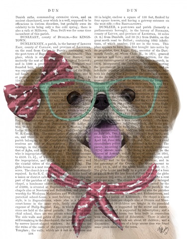 Shih Tsu with Glasses and Scarf