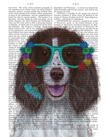Springer Spaniel and Flower Glasses