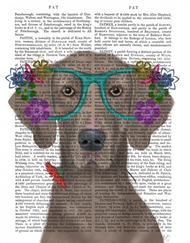 Weimaraner  and Flower Glasses