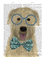 Wheaten Terrier with Glasses and Bow Tie