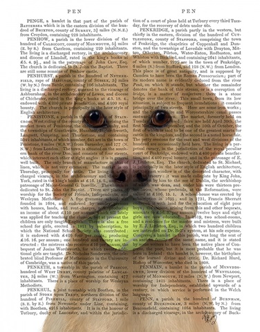 Yellow Labrador and Tennis Balls
