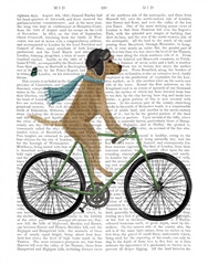 Yellow Labrador in Flying Helmet on Bicycle