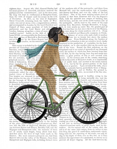 Yellow Labrador in Flying Helmet on Bicycle