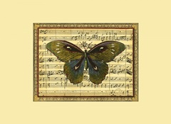 Butterfly Harmony I