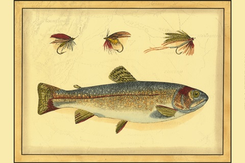 Printed Peters Bream (WG)