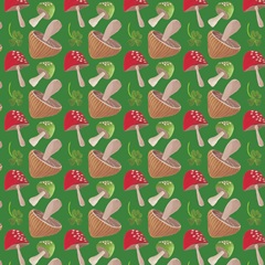 Pinch Me Collection I