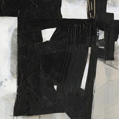 Deconstructed Ebony IV