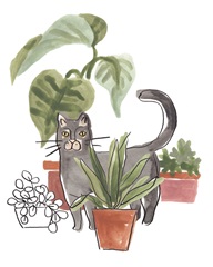 Purrfect Plants I