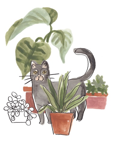 Purrfect Plants I