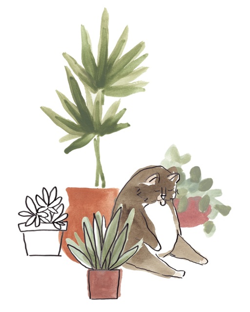 Purrfect Plants II