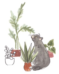 Purrfect Plants IV