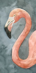Flamingo Study II