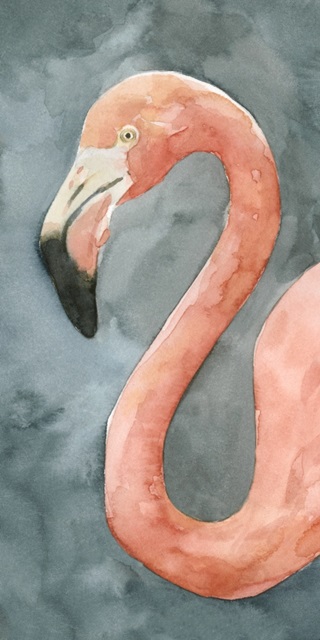 Flamingo Study II