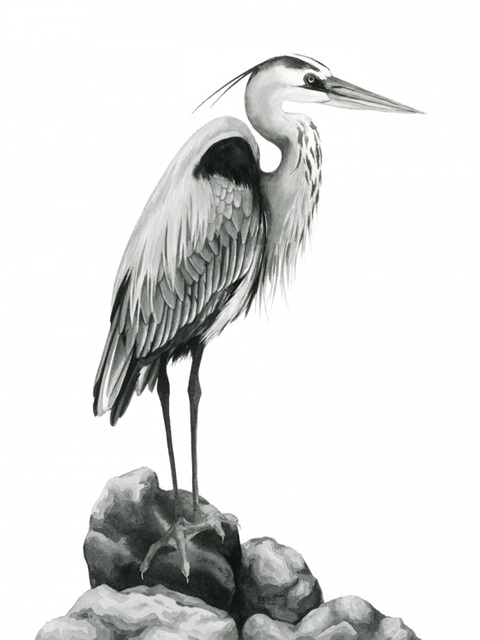 Shoreline Heron in B&W I