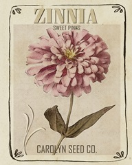 Vintage Seed Packets II