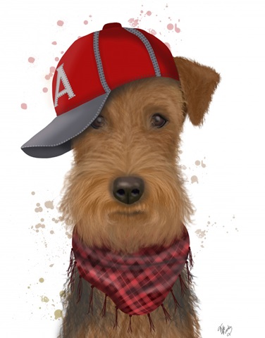 Airedale and Baseball Cap