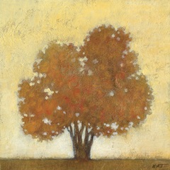 Autumn Morning