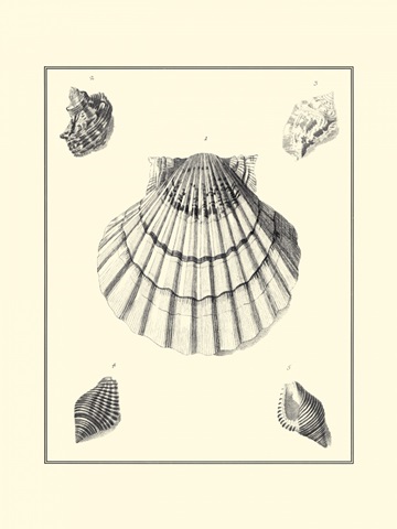B&W Studies in Symmetry III