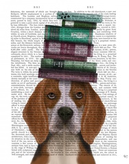 Beagle and Books