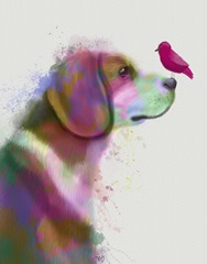 Beagle Rainbow Splash