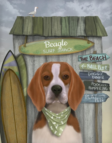 Beagle Surf Shack