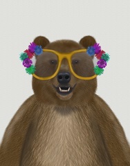 Bear and Flower Glasses