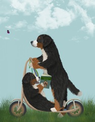 Bernese Scooter
