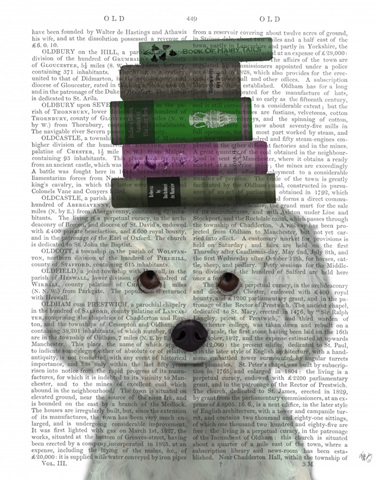 Bichon Frise and Books