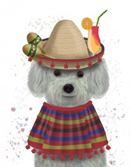 Bichon Frise in Mexican Costume