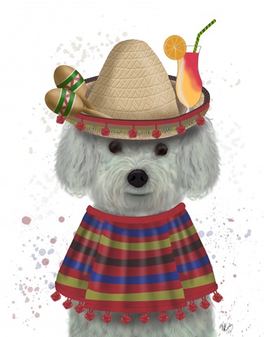 Bichon Frise in Mexican Costume