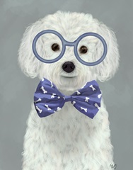 Bichon Frise with Glasses and Bow Tie