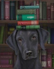 Black Labrador and Books