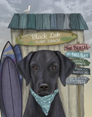 Black Labrador Surf Shack