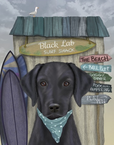 Black Labrador Surf Shack