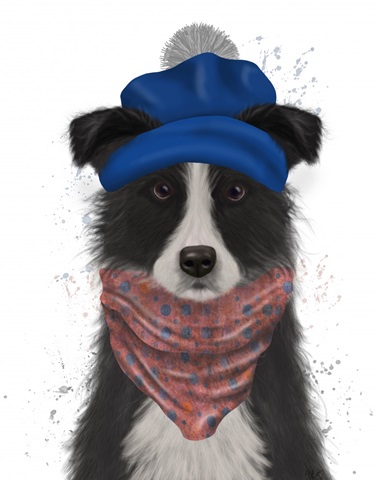 Border Collie in Blue Bobble Hat