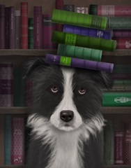 Border Collie, Black and White, and Books