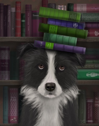 Border Collie, Black and White, and Books