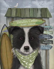 Border Collie, Black and White, Surf Shack