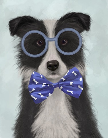 Border Collie, Black and White, with Glasses and Bow Tie