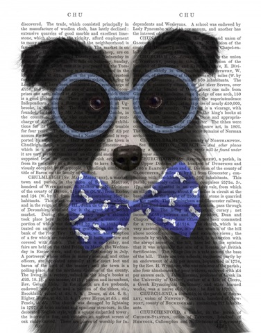 Border Collie, Black and White, with Glasses and Bow Tie