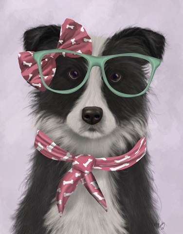 Border Collie, Black and White, with Glasses and Scarf