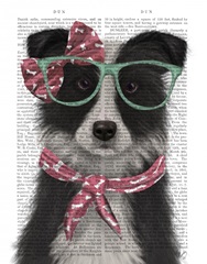 Border Collie, Black and White, with Glasses and Scarf