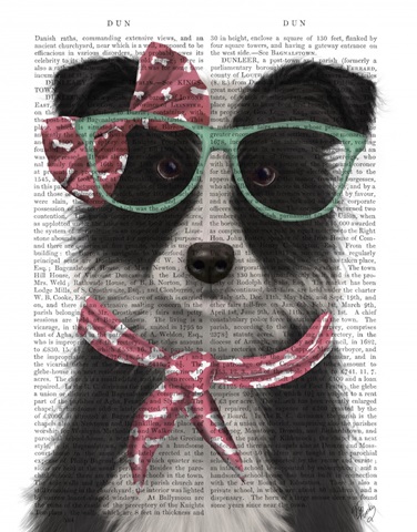 Border Collie, Black and White, with Glasses and Scarf