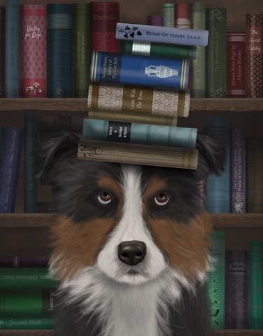 Border Collie, Tricolour, and Books