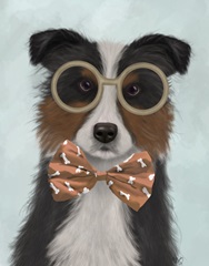 Border Collie, Tricolour, with Glasses and Bow Tie