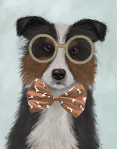 Border Collie, Tricolour, with Glasses and Bow Tie