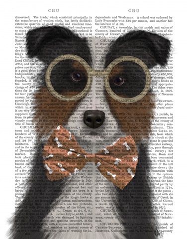 Border Collie, Tricolour, with Glasses and Bow Tie